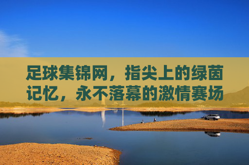 足球集锦网,指尖上的绿茵记忆,永不落幕的激情赛场