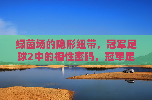 绿茵场的隐形纽带,冠军足球2中的相性密码,冠军足球2,绿茵场的相性密码