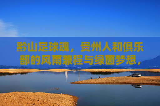黔山足球魂,贵州人和俱乐部的风雨兼程与绿茵梦想,黔山足球魂,贵州人和风雨兼程逐绿茵梦