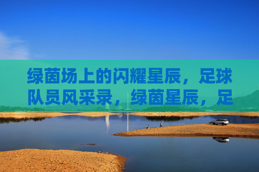 绿茵场上的闪耀星辰,足球队员风采录,绿茵星辰,足球队员风采录