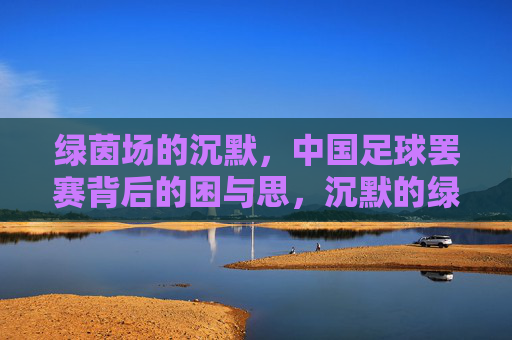 绿茵场的沉默，中国足球罢赛背后的困与思，沉默的绿茵场，中国足球罢赛背后的困与思