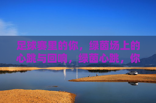足球赛里的你,绿茵场上的心跳与回响,绿茵心跳,你的赛场回响