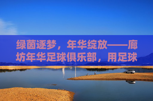 绿茵逐梦,年华绽放——廊坊年华足球俱乐部,用足球点亮青春,绿茵逐梦,年华绽放青春