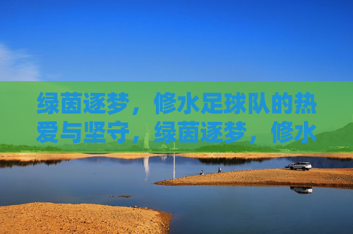 绿茵逐梦，修水足球队的热爱与坚守，绿茵逐梦，修水足球队的热爱与坚守