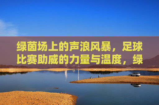 绿茵场上的声浪风暴,足球比赛助威的力量与温度,绿茵声浪风暴,足球助威的力量与温度