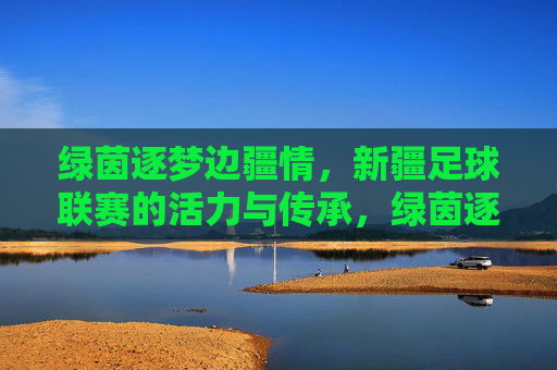绿茵逐梦边疆情,新疆足球联赛的活力与传承,绿茵逐梦边疆情,新疆联赛活力传