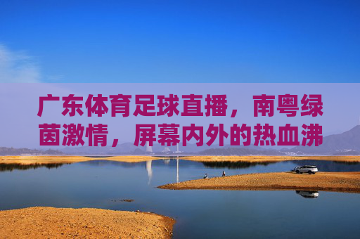 广东体育足球直播，南粤绿茵激情，屏幕内外的热血沸腾，南粤绿茵激情直播，屏幕内外热血沸腾