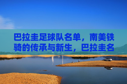 巴拉圭足球队名单，南美铁骑的传承与新生，巴拉圭名单，南美铁骑的传承与新生