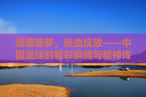 绿茵逐梦,热血绽放——中国足球的精彩瞬间与精神传承,绿茵逐梦,热血绽放,中国足球的精彩瞬间与精神传承