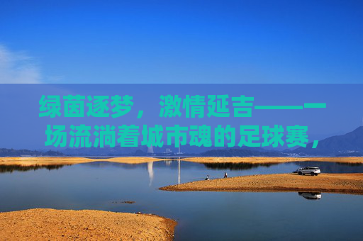 绿茵逐梦，激情延吉——一场流淌着城市魂的足球赛，延吉足球赛，流淌城市魂的绿茵逐梦