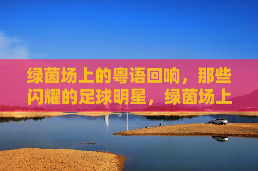 绿茵场上的粤语回响，那些闪耀的足球明星，绿茵场上的粤语回响，闪耀足球明星