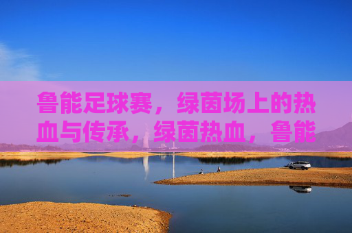 鲁能足球赛，绿茵场上的热血与传承，绿茵热血，鲁能传承