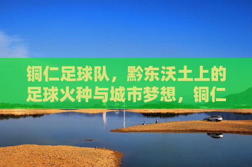 铜仁足球队,黔东沃土上的足球火种与城市梦想,铜仁足球队,黔东沃土上的足球火种与城市梦想