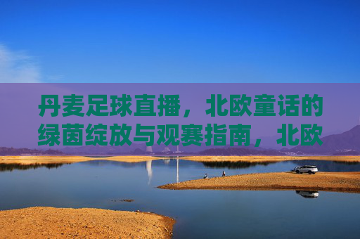 丹麦足球直播,北欧童话的绿茵绽放与观赛指南,北欧童话绿茵绽放,丹麦足球直播观赛指南