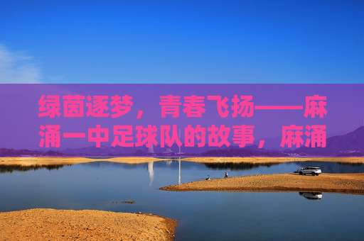绿茵逐梦，青春飞扬——麻涌一中足球队的故事，麻涌一中足球队，绿茵逐梦，青春飞扬