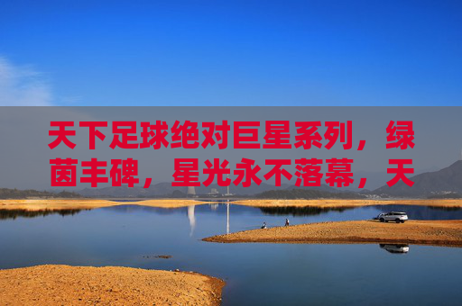天下足球绝对巨星系列,绿茵丰碑,星光永不落幕,天下足球绝对巨星系列,绿茵丰碑星光永耀