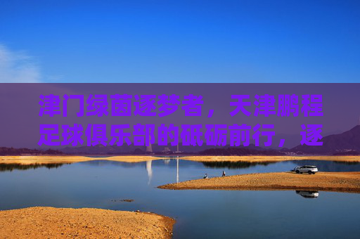 津门绿茵逐梦者,天津鹏程足球俱乐部的砥砺前行,逐梦津门绿茵,鹏程砥砺前行