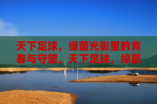天下足球，绿茵光影里的青春与守望，天下足球，绿茵光影里的青春守望