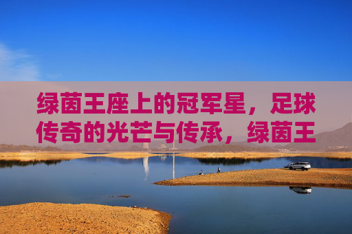 绿茵王座上的冠军星，足球传奇的光芒与传承，绿茵王座，冠军星辉与传奇传承