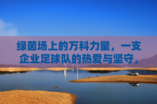 绿茵场上的万科力量,一支企业足球队的热爱与坚守,万科力量,绿茵场上的热爱与坚守