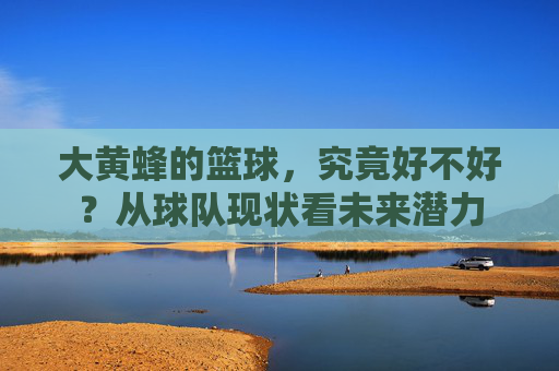 大黄蜂的篮球,究竟好不好?从球队现状看未来潜力