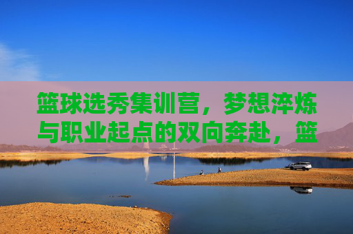 篮球选秀集训营,梦想淬炼与职业起点的双向奔赴,篮球选秀集训营,梦想淬炼与职业起点的双向奔赴