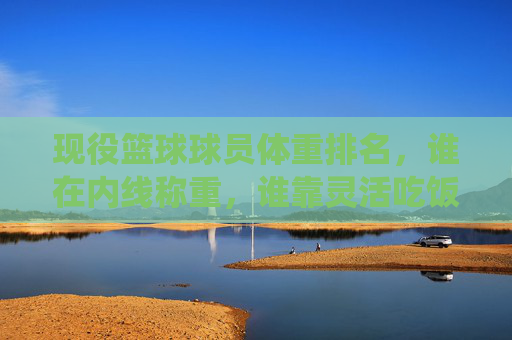 现役篮球球员体重排名,谁在内线称重,谁靠灵活吃饭?