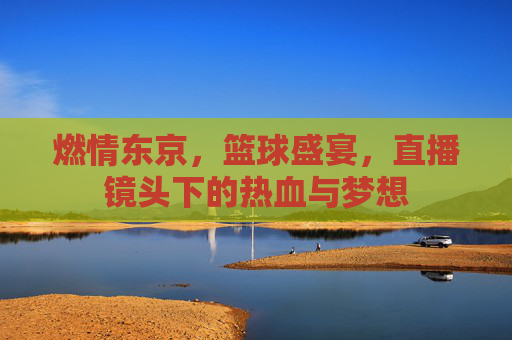 燃情东京,篮球盛宴,直播镜头下的热血与梦想