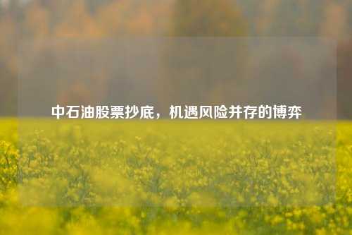 中石油股票抄底，机遇风险并存的博弈