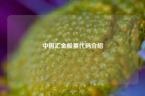 中国汇金股票代码介绍
