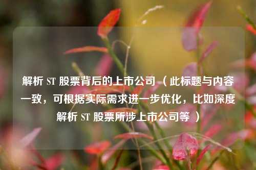 解析 ST 股票背后的上市公司 （此标题与内容一致，可根据实际需求进一步优化，比如深度解析 ST 股票所涉上市公司等 ）