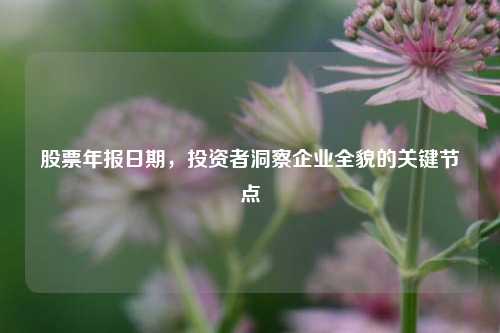 股票年报日期，投资者洞察企业全貌的关键节点