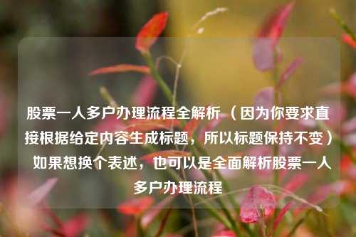 股票一人多户办理流程全解析 （因为你要求直接根据给定内容生成标题，所以标题保持不变）  如果想换个表述，也可以是全面解析股票一人多户办理流程