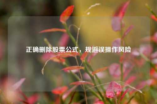 正确删除股票公式，规避误操作风险