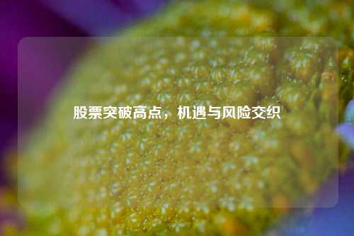 股票突破高点，机遇与风险交织