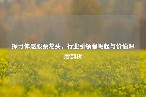 探寻体感股票龙头,行业引领者崛起与价值深度剖析