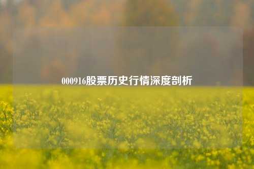 000916股票历史行情深度剖析