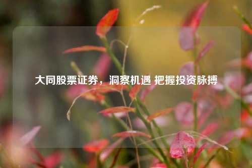 大同股票证券，洞察机遇 把握投资脉搏