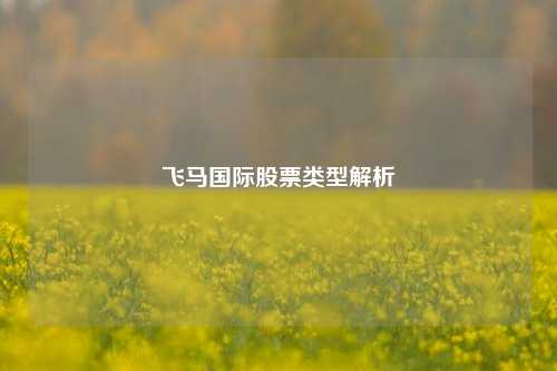 飞马国际股票类型解析