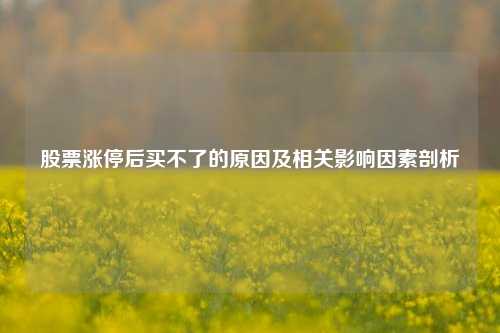 股票涨停后买不了的原因及相关影响因素剖析
