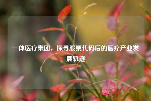 一体医疗集团，探寻股票代码后的医疗产业发展轨迹