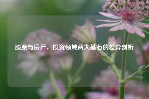 股票与房产，投资领域两大基石的差异剖析