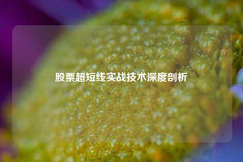 股票超短线实战技术深度剖析