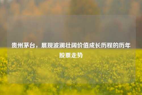 贵州茅台,展现波澜壮阔价值成长历程的历年股票走势