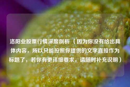 洛阳业股票行情深度剖析 （因为你没有给出具体内容，所以只能按照你提供的文字直接作为标题了，若你有更详细要求，请随时补充说明）