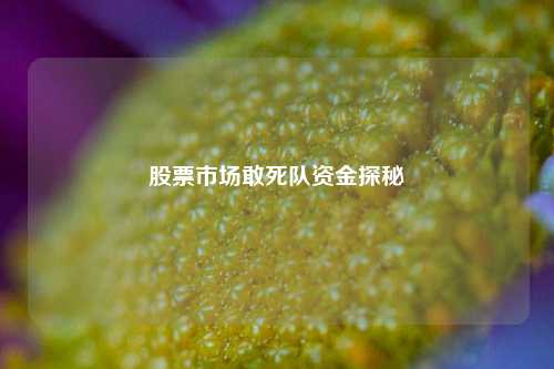 股票市场敢死队资金探秘