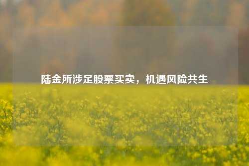 陆金所涉足股票买卖，机遇风险共生