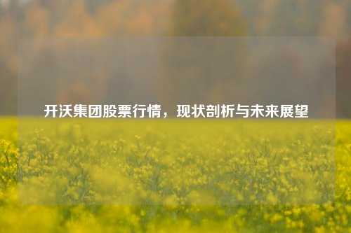 开沃集团股票行情，现状剖析与未来展望