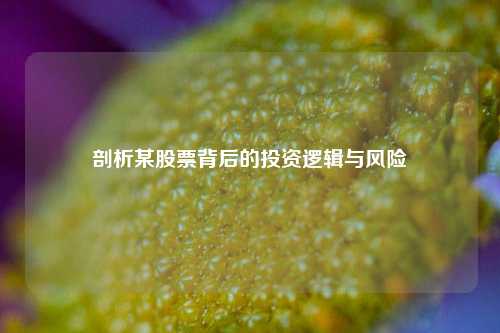 剖析某股票背后的投资逻辑与风险