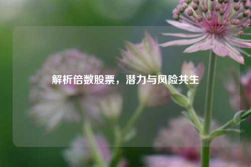 解析倍数股票，潜力与风险共生